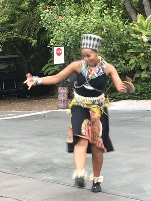 San Diego Zoo show Nomsa in action